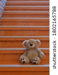 A Teddy Bear Sits On The Steps...