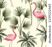 Flamingo Wallpaper Background Free Stock Photo - Public Domain Pictures