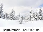 Winter Landscape In Fir Forest...