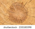 Texture Of Pine Wood