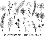 big set of hand drawn floral... | Shutterstock .eps vector #1841707825