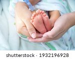 Baby feet in mother hands, Mom and her Child, Happy Family concept,Beautiful conceptual image of Maternity.
