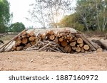 A Pile Of Stacked Firewood ...