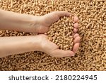 Woman hands hold wooden pellets. Handful of wood pellet fuel in a person hands. Organic biofuel made from compacted sawdust. Alternative energy, ecological heating, bio fuel concept. Top view.
