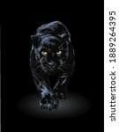 black panther walking in shadow ... | Shutterstock .eps vector #1889264395