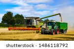 Colourful combine harvester working a wheat field with a tractor and trailer moving alongside. Grain from the elevator being uploaded. Dust cloud behind. Landscape image with space for copy. England.