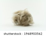 Cat Hair Clump Isolated On...