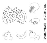 isolated object of vegetable... | Shutterstock .eps vector #1198819132