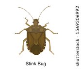 Bug Stink Vector Icon.cartoon...