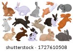Rabbit vector cartoon set icon. Isolated cartoon set icon animal.Vector illustration rabbit on white background.