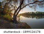 Murray River Sunrise  Natural...