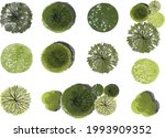vector green tree top view... | Shutterstock .eps vector #1993909352