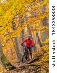 Small photo of sympathetic active senior woman, riding her electric mountainbike in the gold colored autumn forests of the Swabian Alb