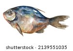 Watercolor Fish. Hand Draw Dark ...
