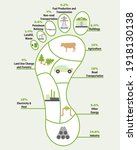 carbon footprint infographic.... | Shutterstock .eps vector #1918130138