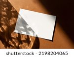 Still life scene with hard shadows on brown background in sunlight glass and blank business, greeting card, invitation mockup. Long harsh shadows. New naturalism 