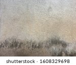 the fungus on the white walls... | Shutterstock . vector #1608329698