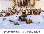 A blackened metal kettle on a cooking tripod boiling over a flaming fire, outdoors in the snow, surrounded by seats covered in reindeer skins, Arctic Circle, Alta, Troms og Finnmark, Northern Norway 