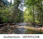 Small photo of The Jarbidge River flows through the wilderness near Upper Bluster Campground south of the community of Jarbidge, Elko County, Nevada.