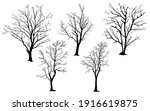 silhouette of tree without... | Shutterstock .eps vector #1916619875