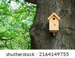 Bird house on a tree. Wooden birdhouse, nesting box for songbirds in park.