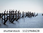Pelicans On A Pier In Water