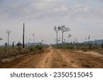 Small photo of Amazon rainforest dirt road crosses deforested and degraded cattle pasture land at livestock farm. Amazonas, Brazil. Concept of environment, ecology, global warming, climate change, agriculture.