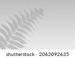 shadow plant leaf overlay... | Shutterstock .eps vector #2062092635