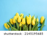 A bunch of yellow tulips on a blue background, copy space for text