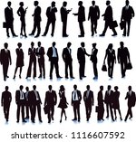 group with diverse business... | Shutterstock .eps vector #1116607592