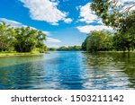 view spring forest lake nature blue sky background