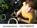 little boy planting seedlings... | Shutterstock . vector #1967488045