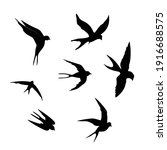 swallows. black silhouette on a ... | Shutterstock .eps vector #1916688575
