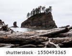 The famous La Push second beach: views of logs of driftwood and rocks in the sea. Gloomy weather.