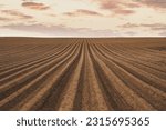 Land on the field for planting. Beautiful plowed field and cloudy sky scene