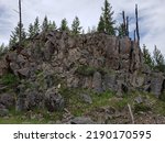A large rock formation dense with pine trees in Yellowstone National Park as seen from Grand Loop Road just south of Firehole Canyon Road on a cloudy summer morning from below in Wyoming