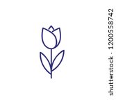Tulip Line Icon. Nature  Botany ...