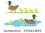 Duck And Ducklings Set. Cute...
