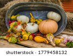 A Collection Of Fall Gourds.