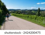 Woman hiking along wine road with scenic view of vineyards near Ehrenhausen an der Weinstrasse, Leibnitz, South Styria, Austria. Winery stretching over lush green hills. Idyllic Styrian Tuscany