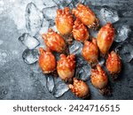 Small photo of sea squirt ,seafood on a plate