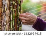 Small photo of Cropped image of hand making abstract decoration on yellow string with plants and wooden bamboo slices wampum during world and spoken word festival