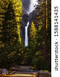 Cascading Yosemite Falls In...