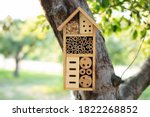 Decorative Insect House With...
