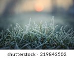 green grass with morning frost and red sun