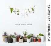 Small photo of Motivational poster You are one of a kind with hanging flowers and potted cactus and succulents. Hipster scandinavian rood design.
