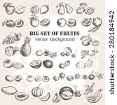 Vector Illustration Of Fruits...