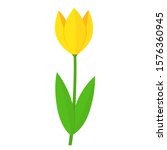 Yellow Single Tulip Flower...