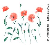 watercolor flowers of red... | Shutterstock . vector #1358121428