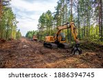 Excavator Grapple during clearing forest for new development. Tracked Backhoe with forest clamp for forestry work. Tracked timber Crane and Hydraulic Grab log Loader.
